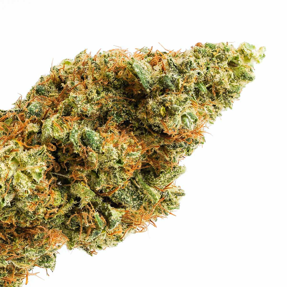 «Ayoka» She brings happiness | Fruchtig-Mango mit 18-21% CBD