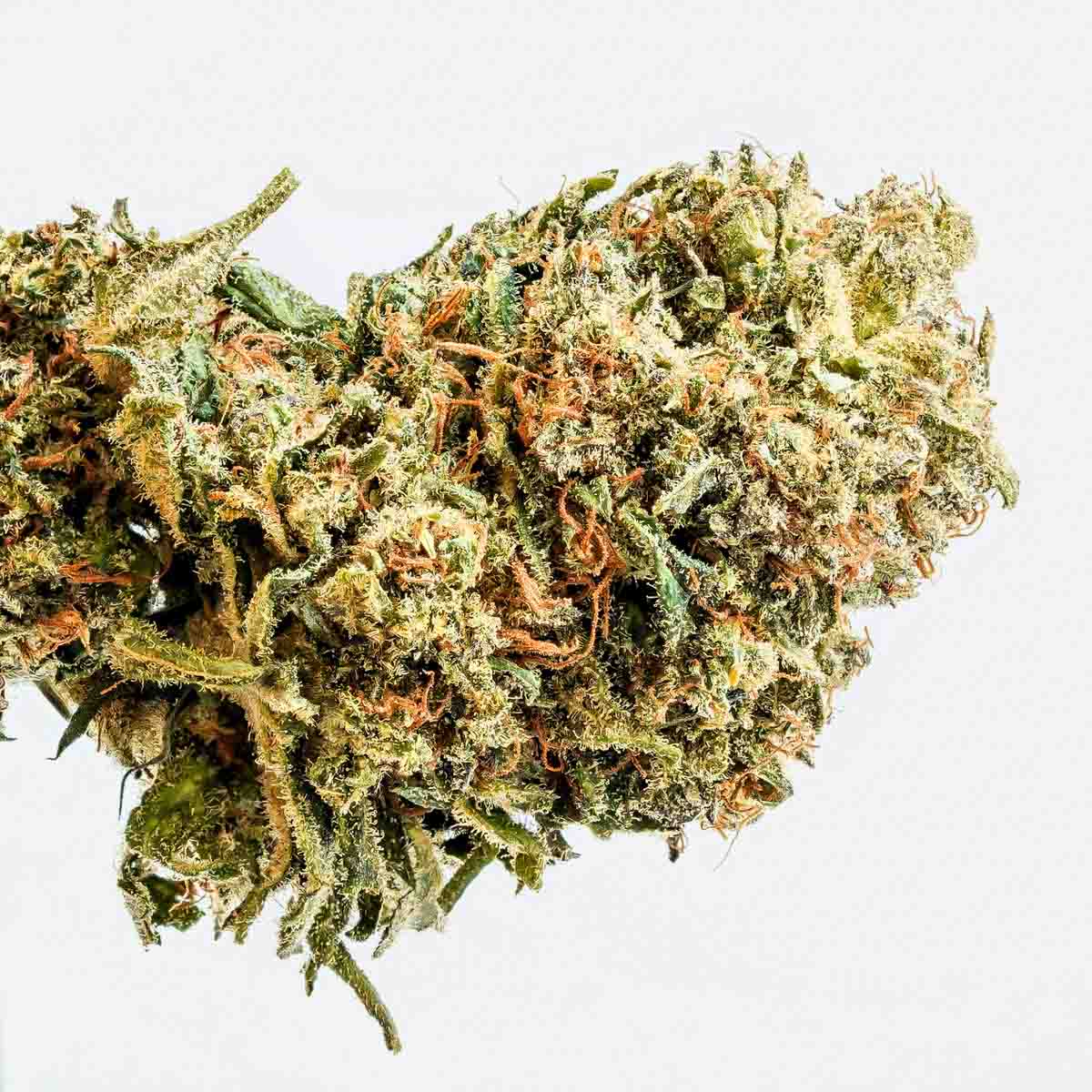 «Miakoda» power of the moon | Erdig Sandelholz Aroma mit 19% CBD